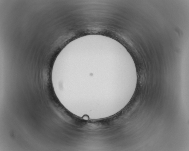 X0000113360455200910131304