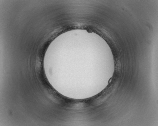 X0000113360456200910131304