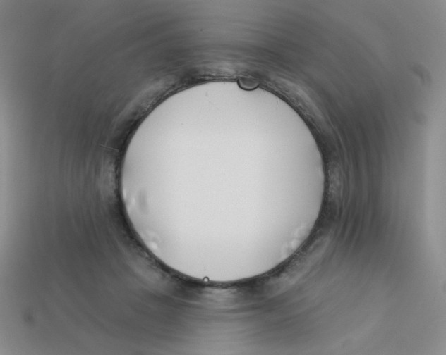 X0000113360457200910131304