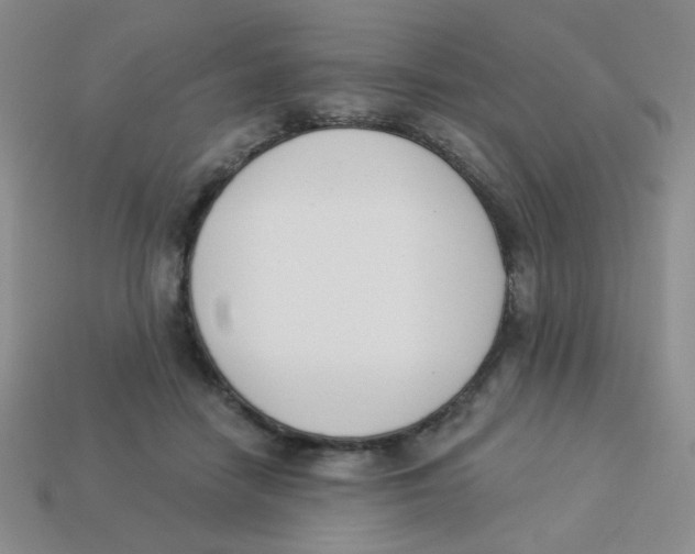 X0000113360458200910131304