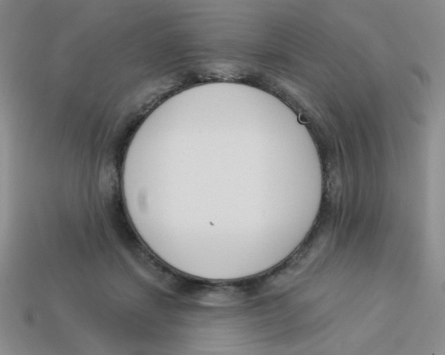 X0000113360459200910131304