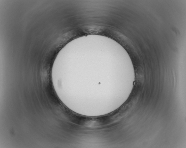 X0000113360460200910131304