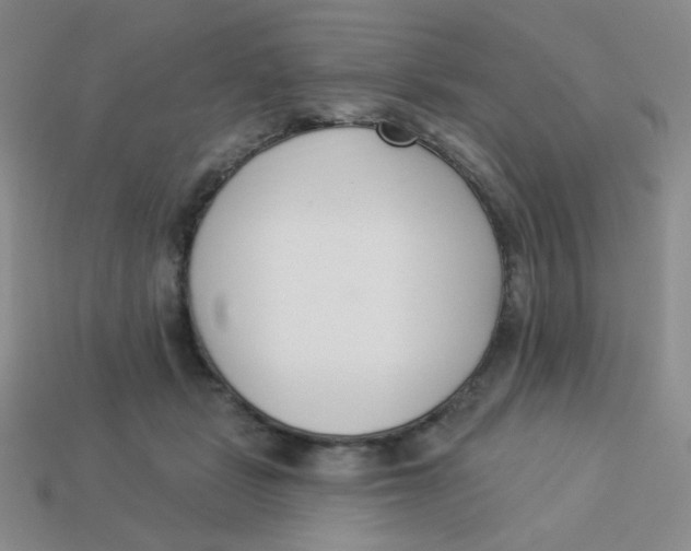 X0000113360461200910131304