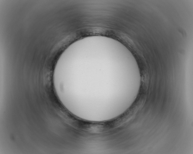 X0000113360462200910131304