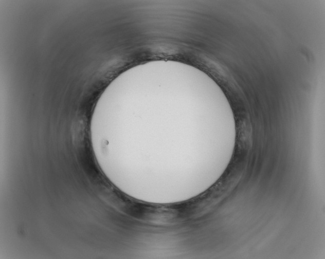 X0000113360463200910131304