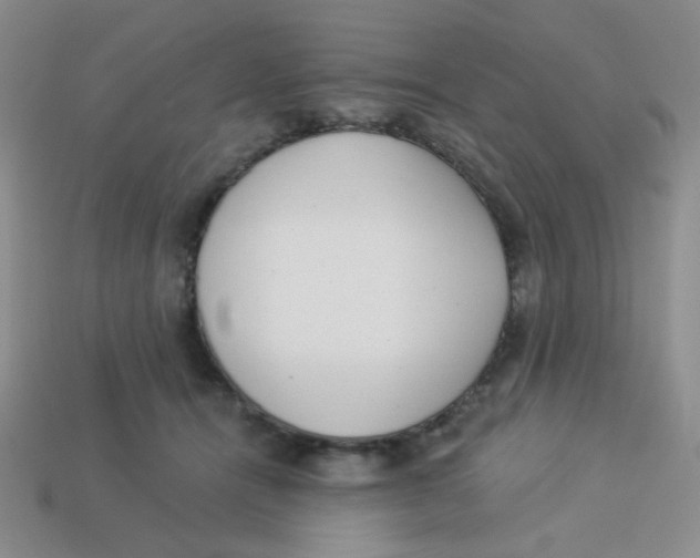 X0000113360464200910131304