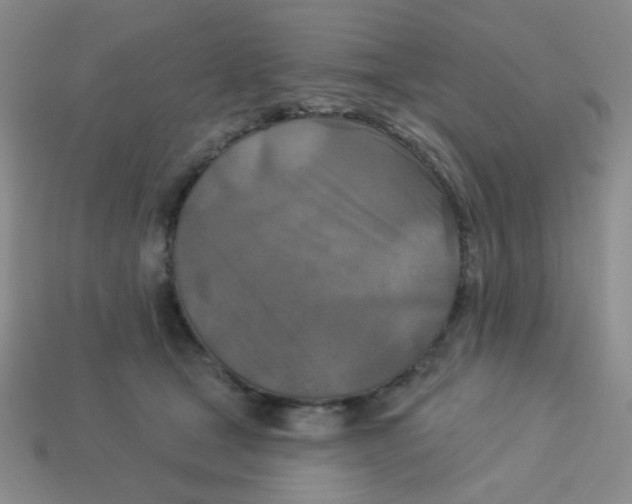 X0000113360465200910131304