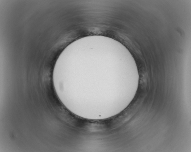 X0000113360466200910131304