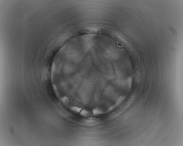 X0000113360467200910131304