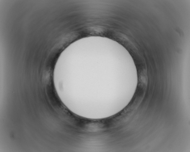 X0000113360468200910131304