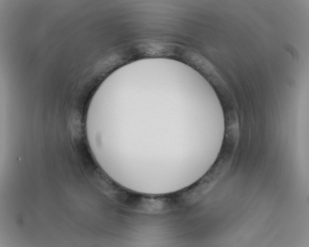 X0000113360469200910131304