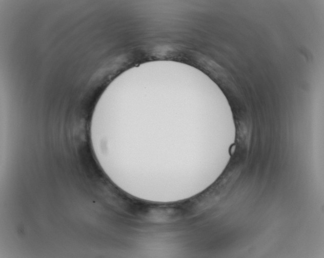 X0000113360470200910131304