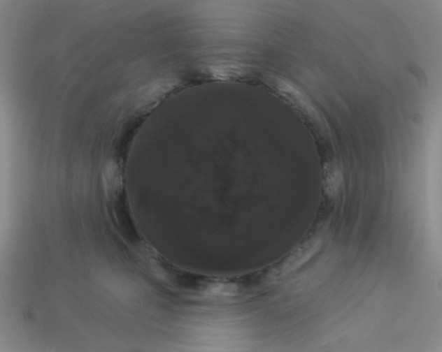 X0000113360471200910131304