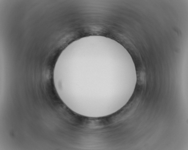 X0000113360472200910131304