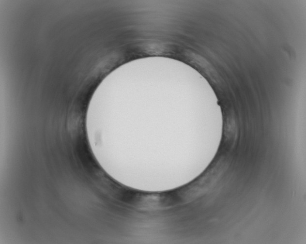 X0000113360473200910131304