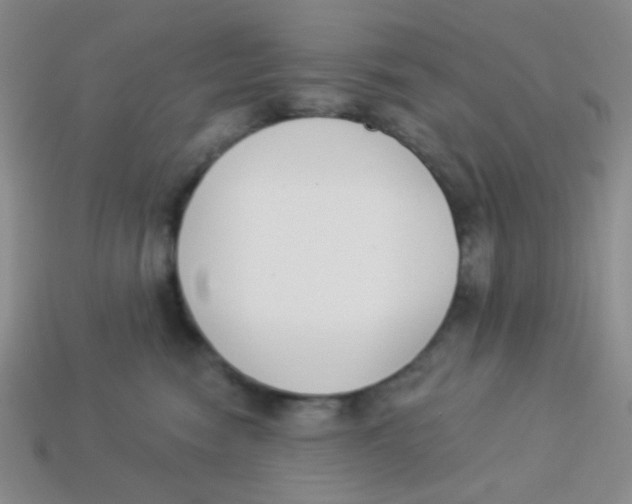 X0000113360474200910131304