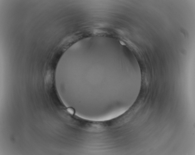 X0000113360475200910131304