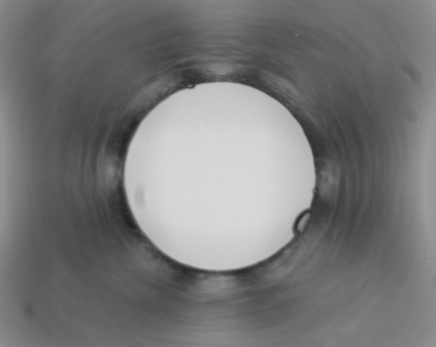 X0000113360476200910131304