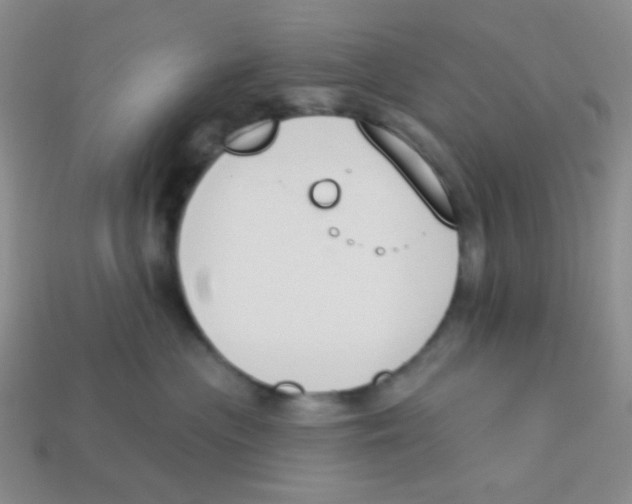X0000113360477200910131304