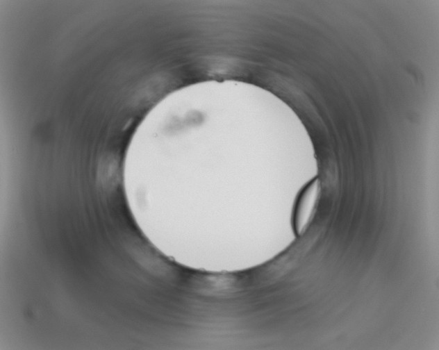 X0000113360478200910131304