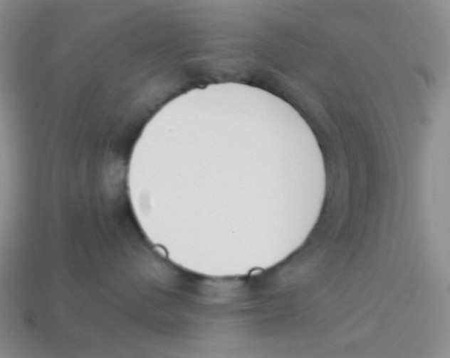X0000113360480200910131304