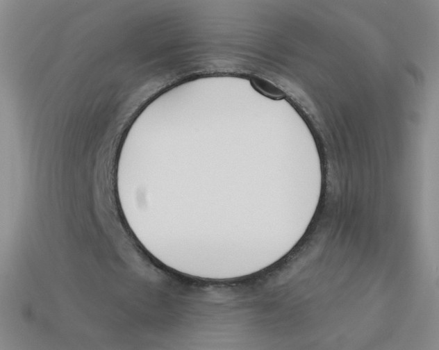 X0000113360481200910131303