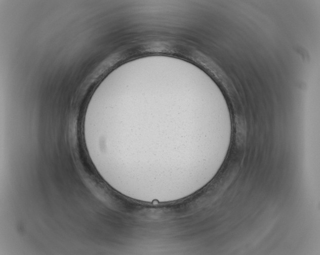 X0000113360482200910131303