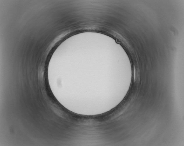 X0000113360483200910131303