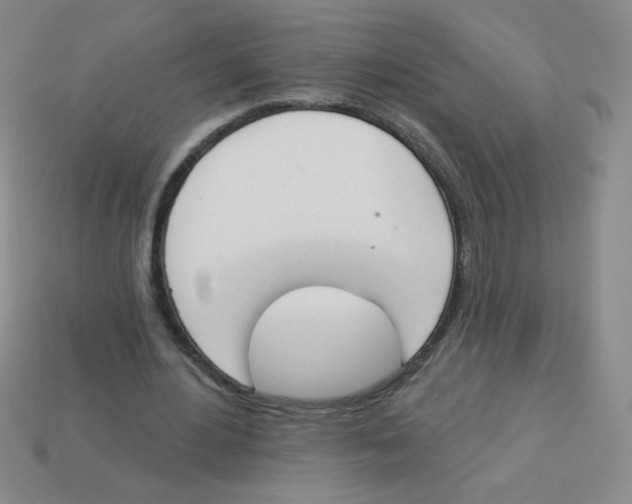 X0000113360484200910131303