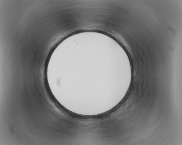 X0000113360485200910131303