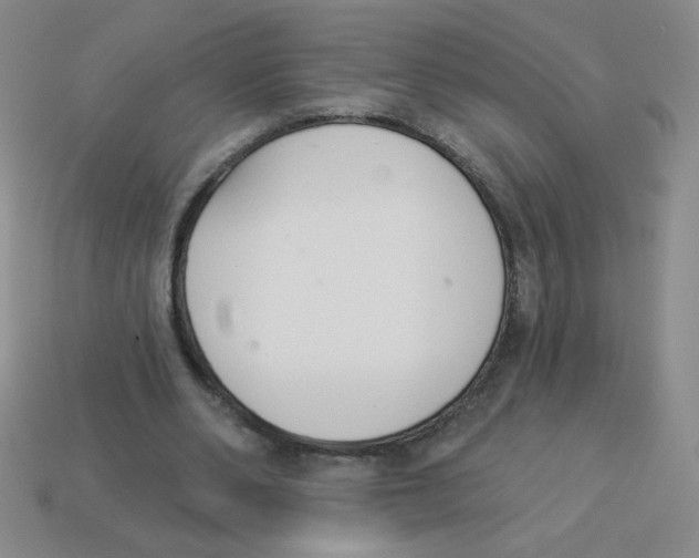 X0000113360486200910131303
