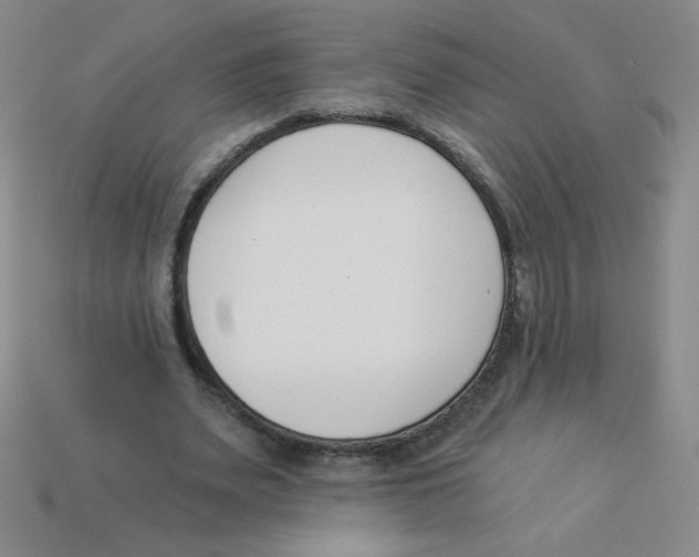 X0000113360487200910131303