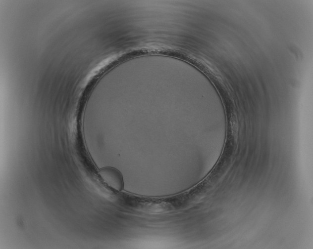 X0000113360488200910131303