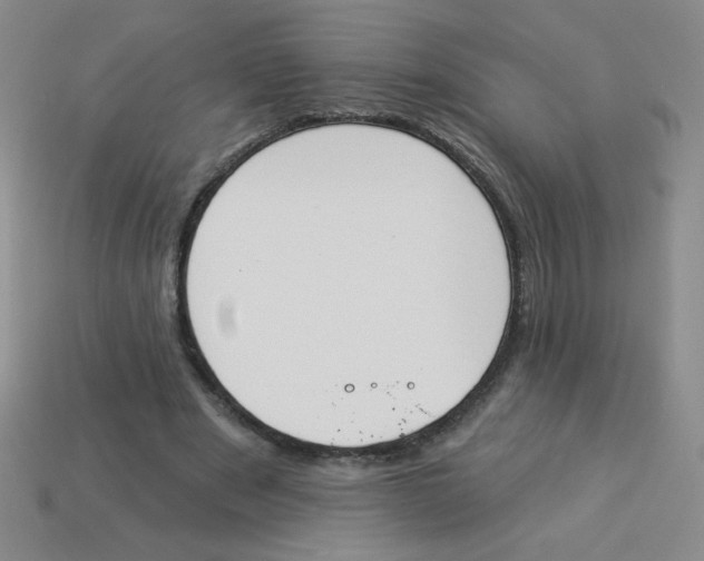X0000113360489200910131303