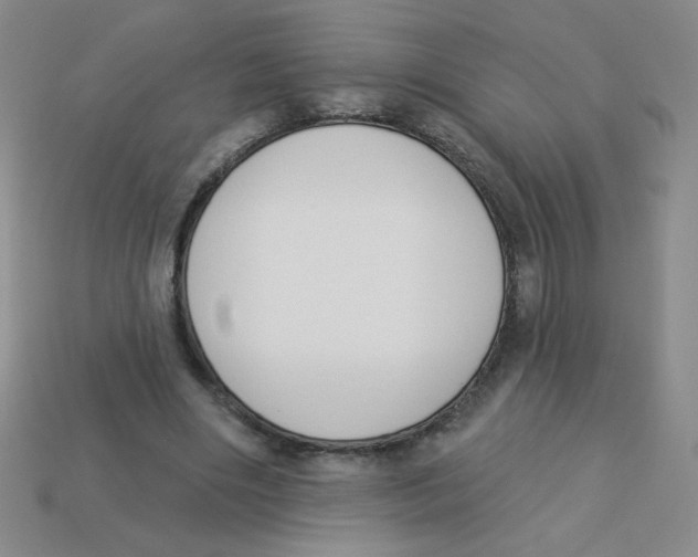 X0000113360490200910131303