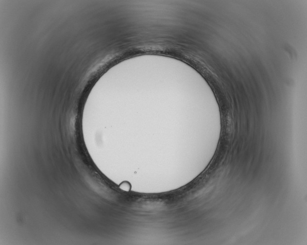 X0000113360491200910131303