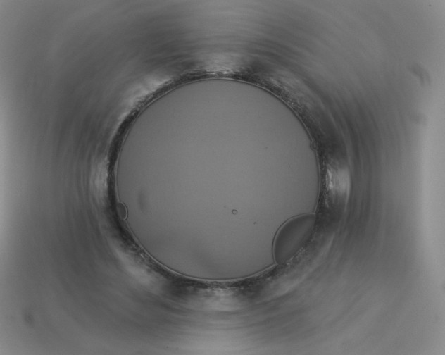 X0000113360492200910131303