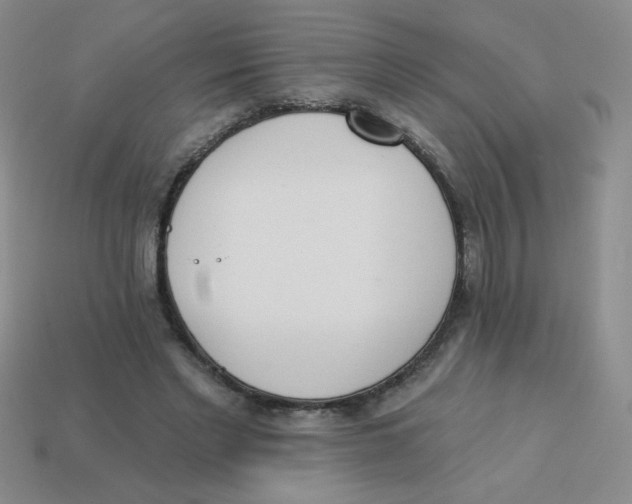 X0000113360493200910131303