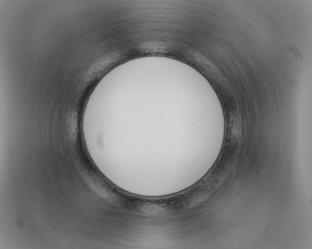 X0000113360494200910131303