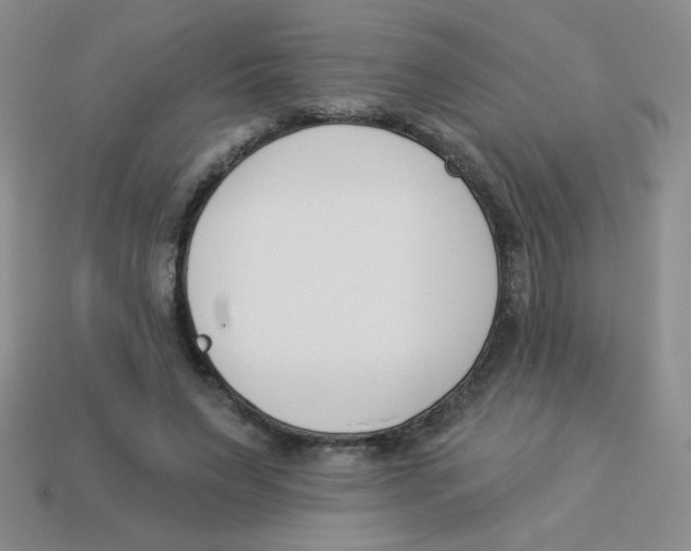 X0000113360495200910131303