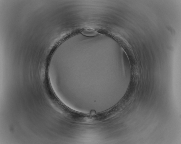 X0000113360496200910131303