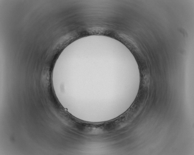 X0000113360498200910131303