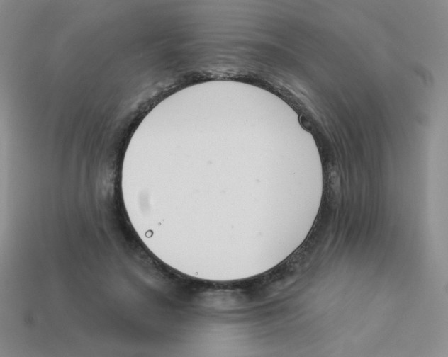 X0000113360499200910131303