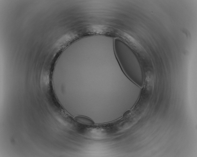 X0000113360500200910131303
