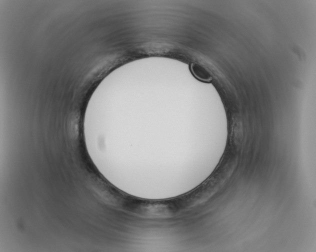 X0000113360501200910131303