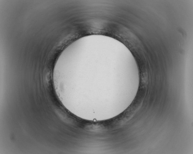 X0000113360503200910131303