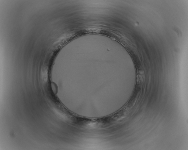 X0000113360504200910131303