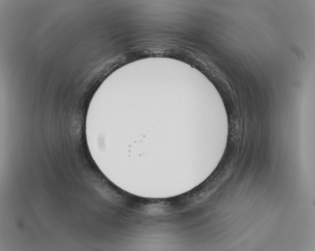 X0000113360505200910131303