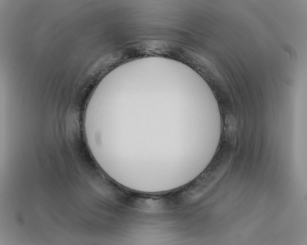 X0000113360506200910131303