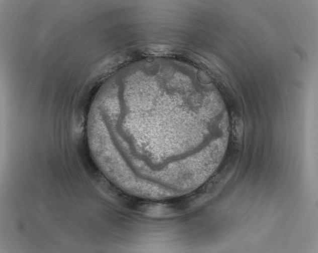 X0000113360507200910131303